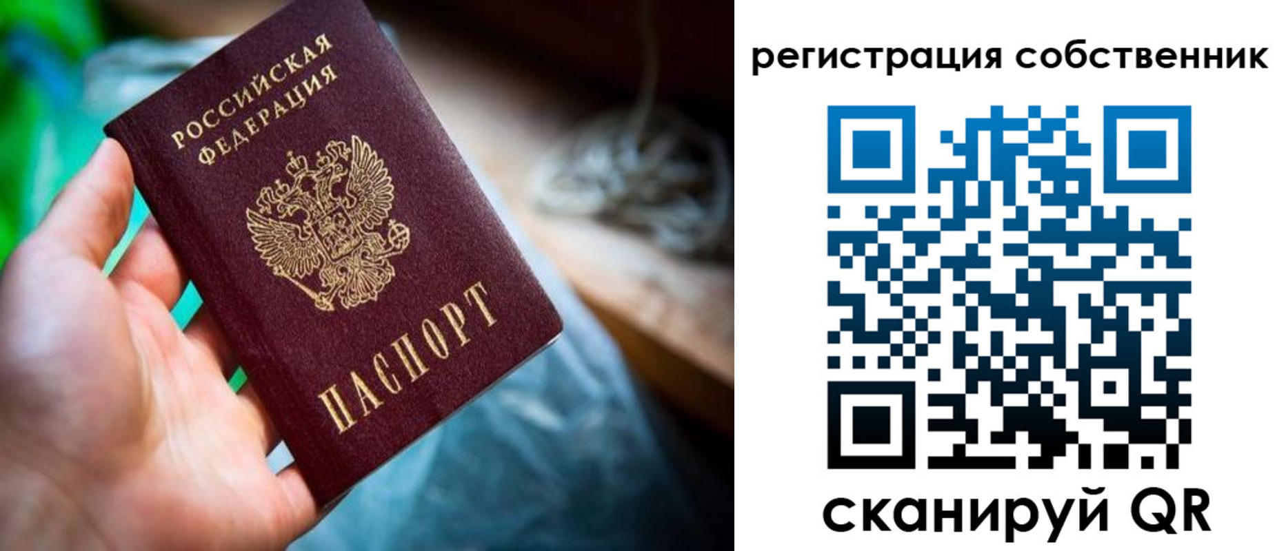 прописка гарантия в Калуге